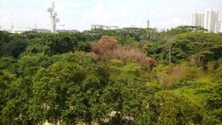 Fontana Heights (D10), Condominium #593639881
